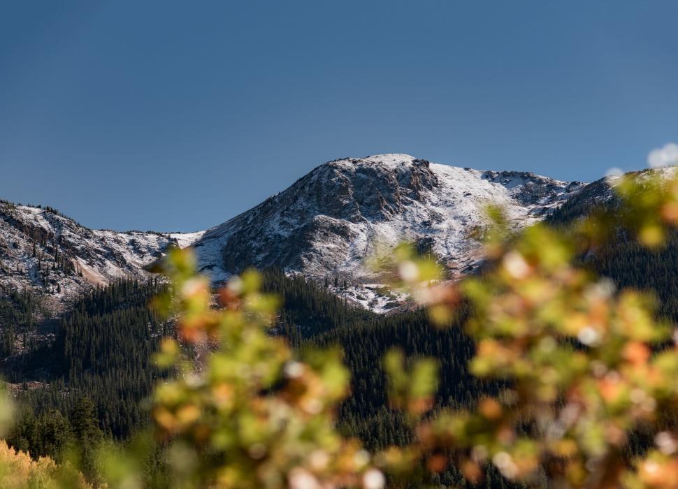 Free Image of Mountain Range With Trees in Foreground 