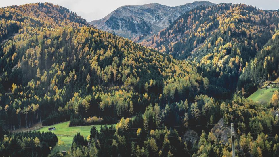 Free Image of Mountain Range and Trees in Foreground 