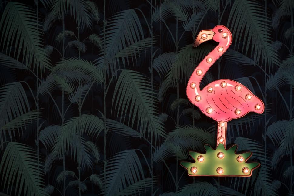 Free Image of Pink Flamingo on Lush Green Field 