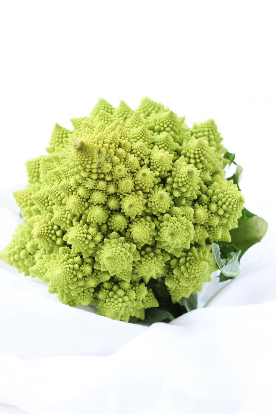 Free Image of Close Up of a Bunch of Broccoli 