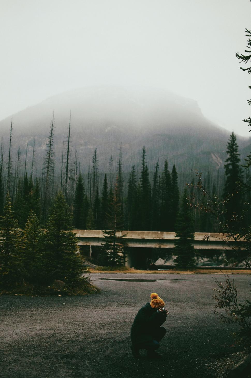Free Image of Bear Standing in Dirt 