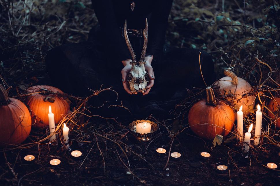Free Image of Group of Pumpkins Sits on Field 