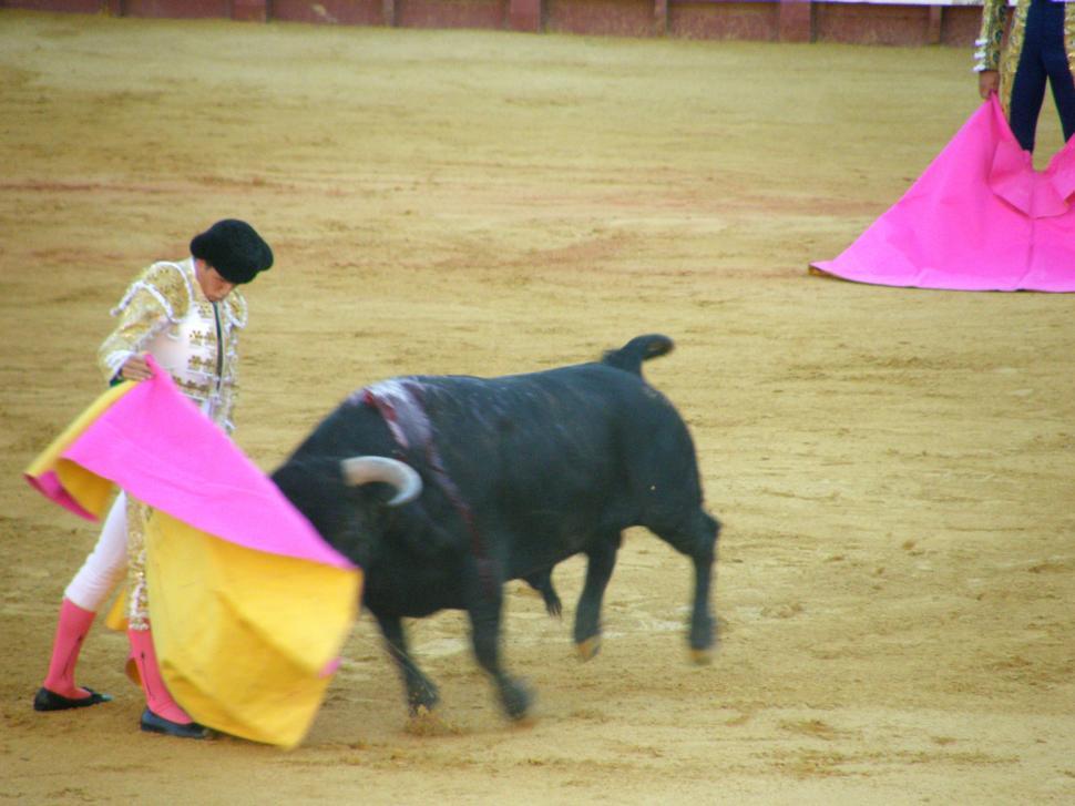 Free Image of ole¡ 