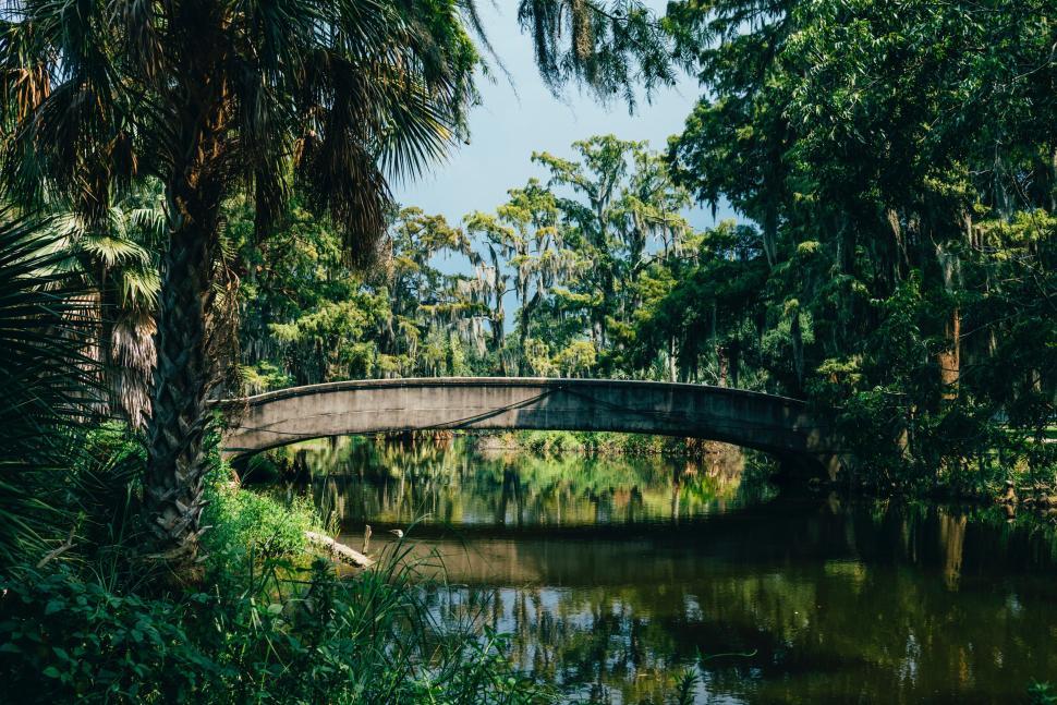 Free Image of Bridge Over River Amidst Trees 
