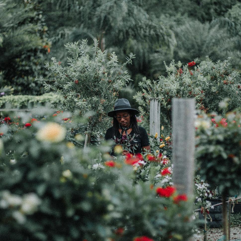 Free Image of Man Standing in Field of Flowers 