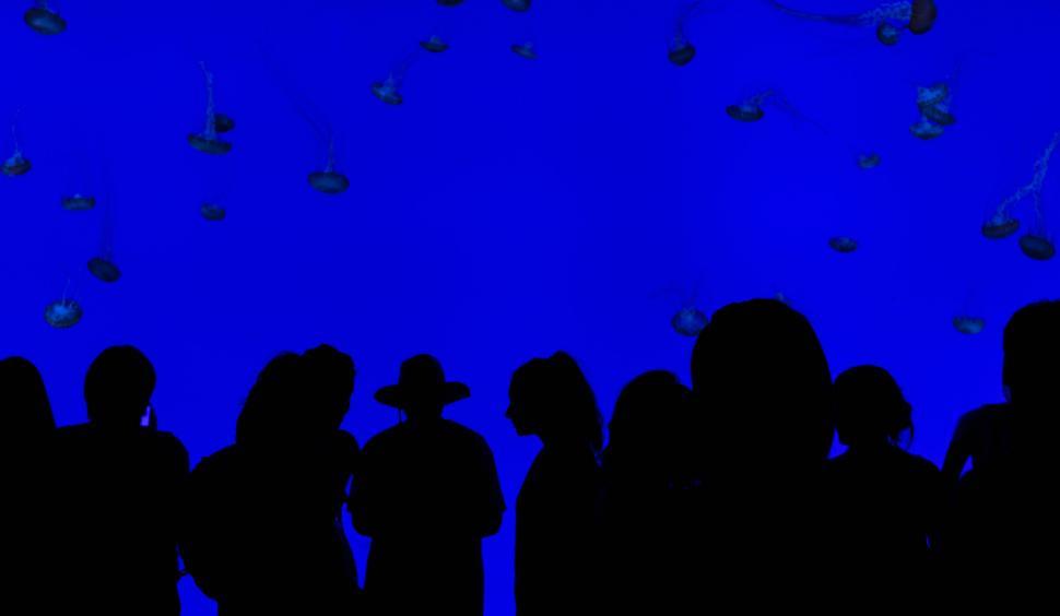 Free Image of Group of People Standing Next to Each Other 
