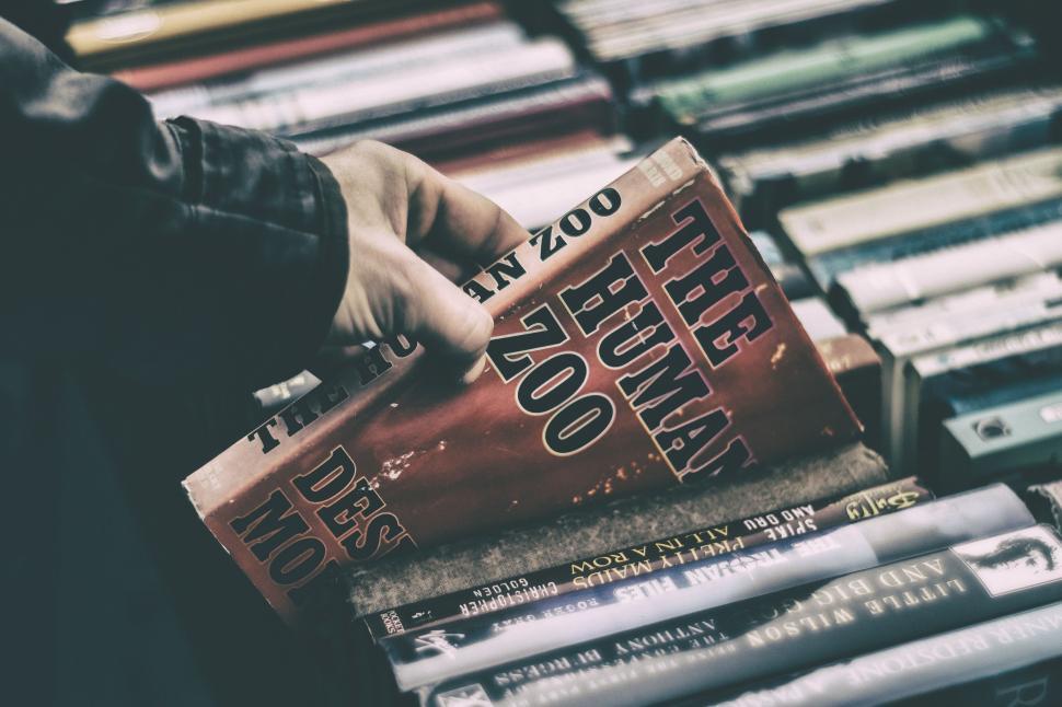Free Image of Person Picking Up Book From Shelf 