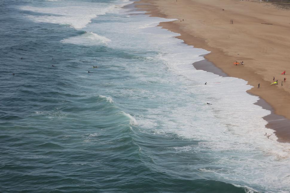 Free Image of Group of People Standing on Beach by Ocean 