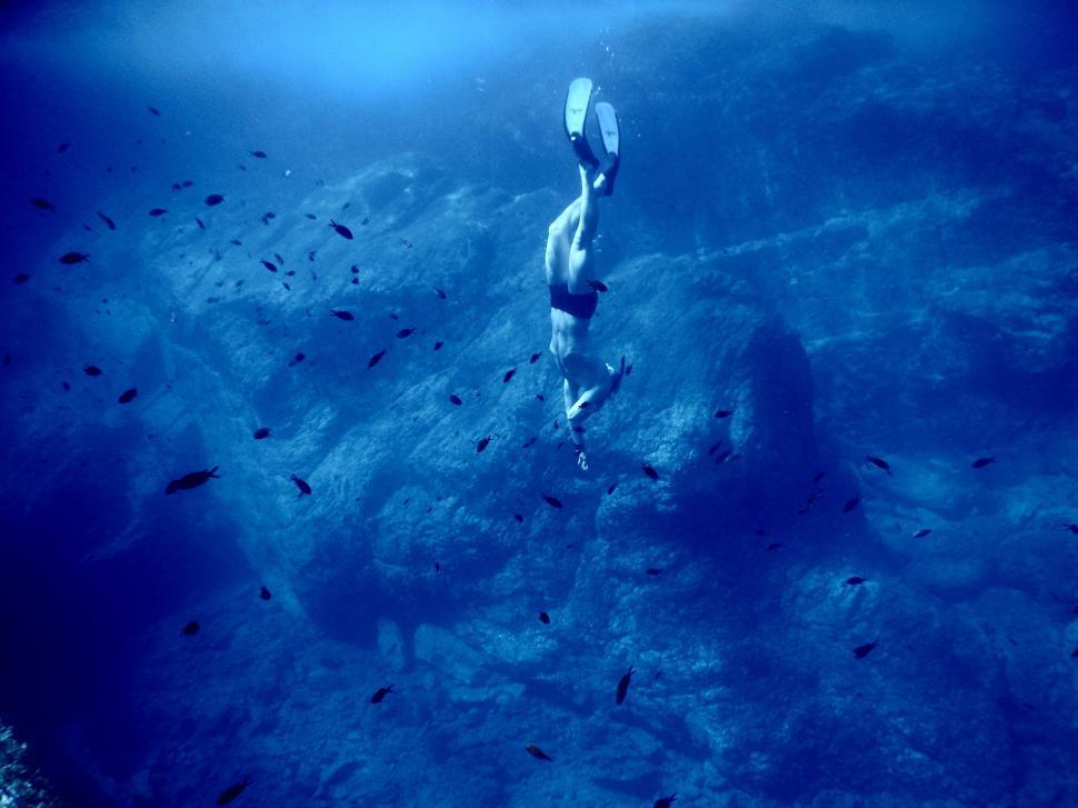 Free Image of Man Swimming in Ocean Surrounded by Fish 