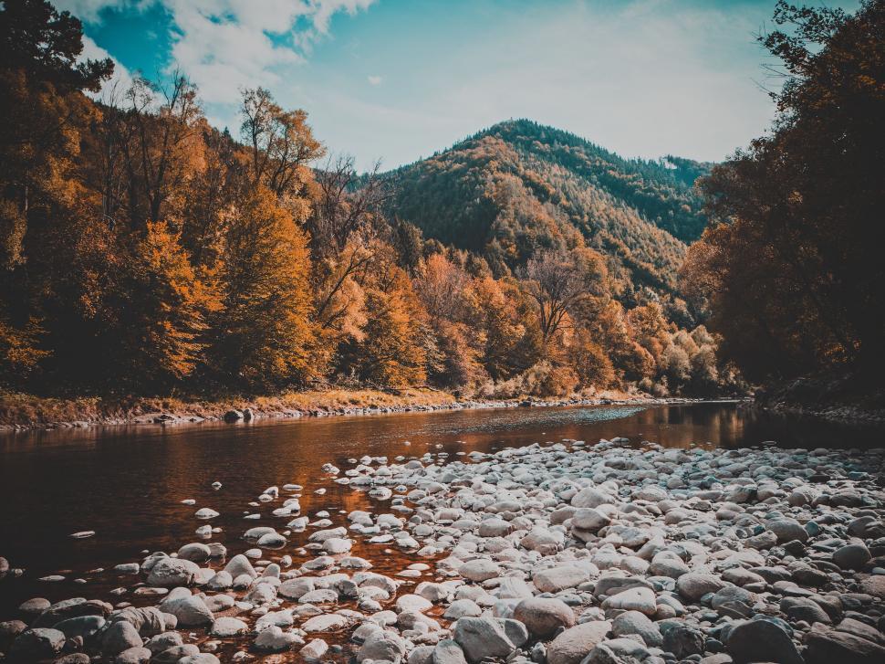 Free Image of River Flowing Among Rocks and Trees 