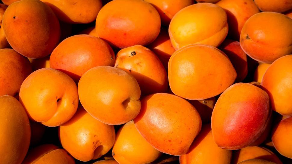 Free Image of A Pile of Oranges 