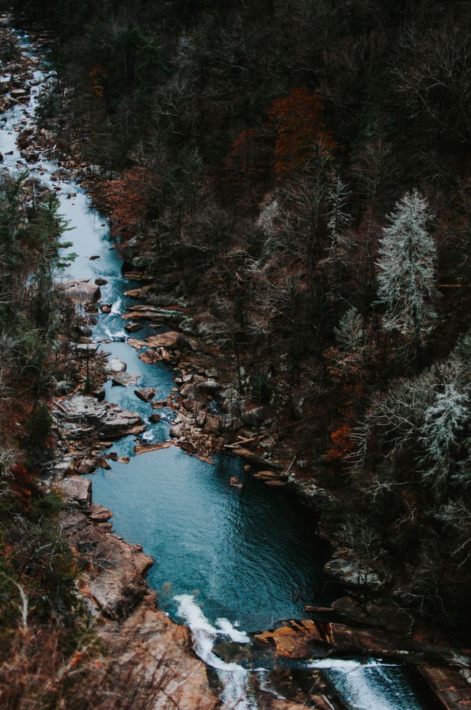 Free Image of River Flowing Through Dense Forest 