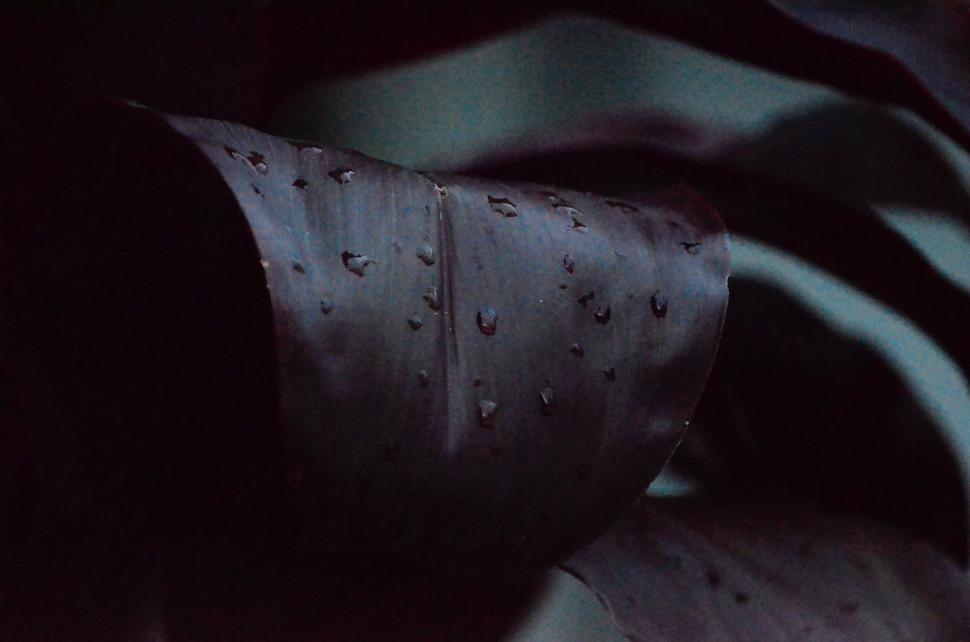 Free Image of Black and White Image of a Metal Object 