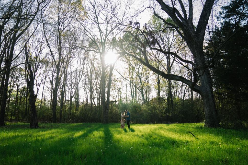 Free Image of Person Walking Through Lush Green Forest 