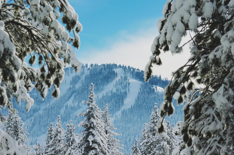 Free Image of Man Snowboarding Down Snowy Slope 