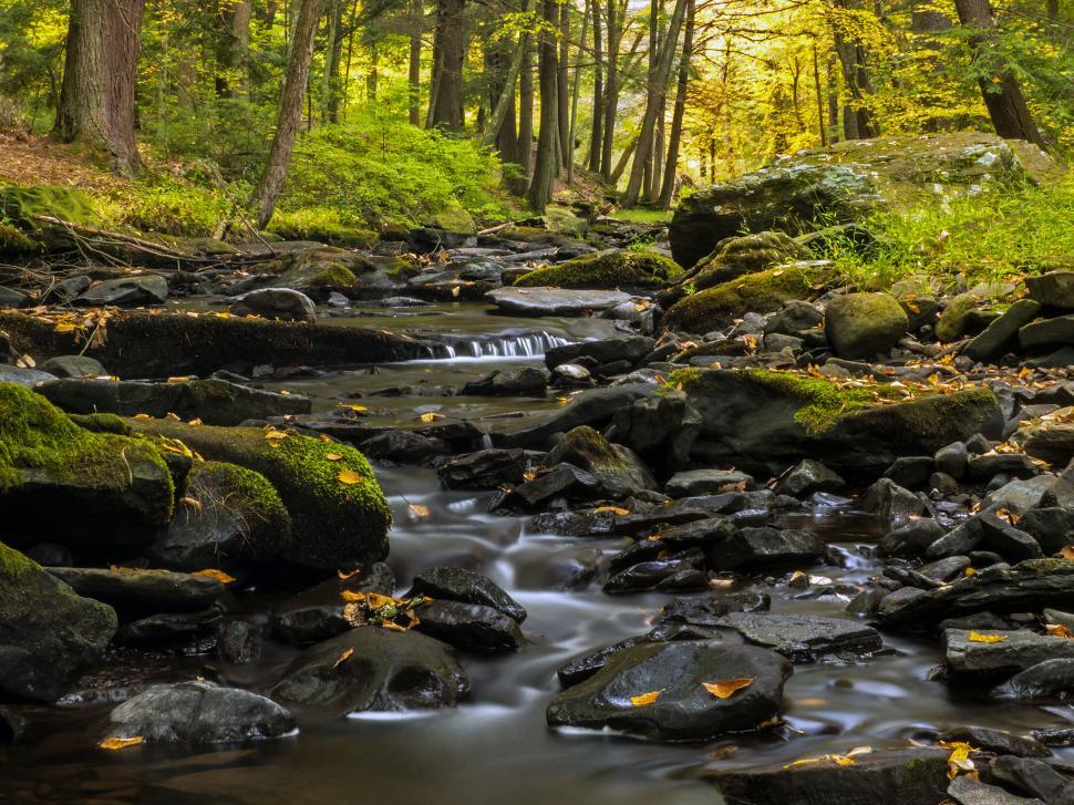 Free Image of Brook in Autumn 