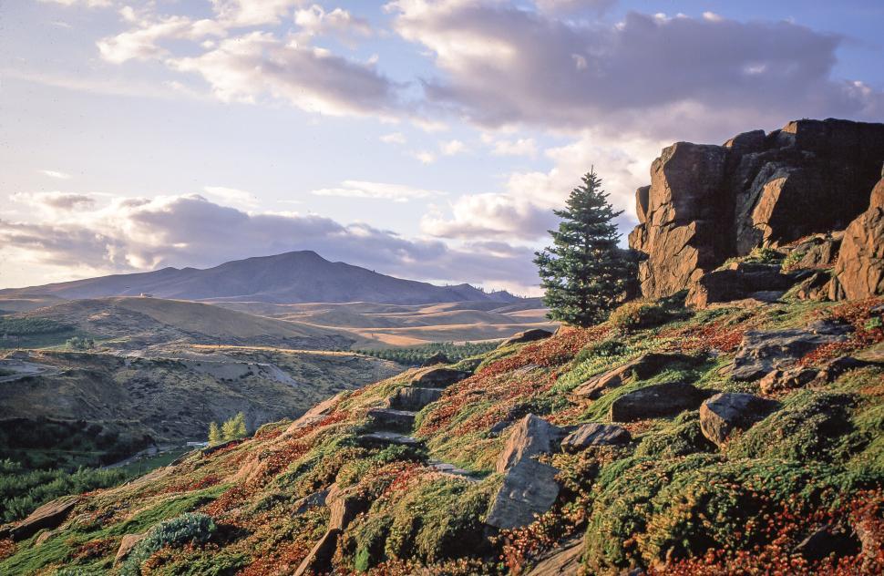 Free Image of Green mountains 