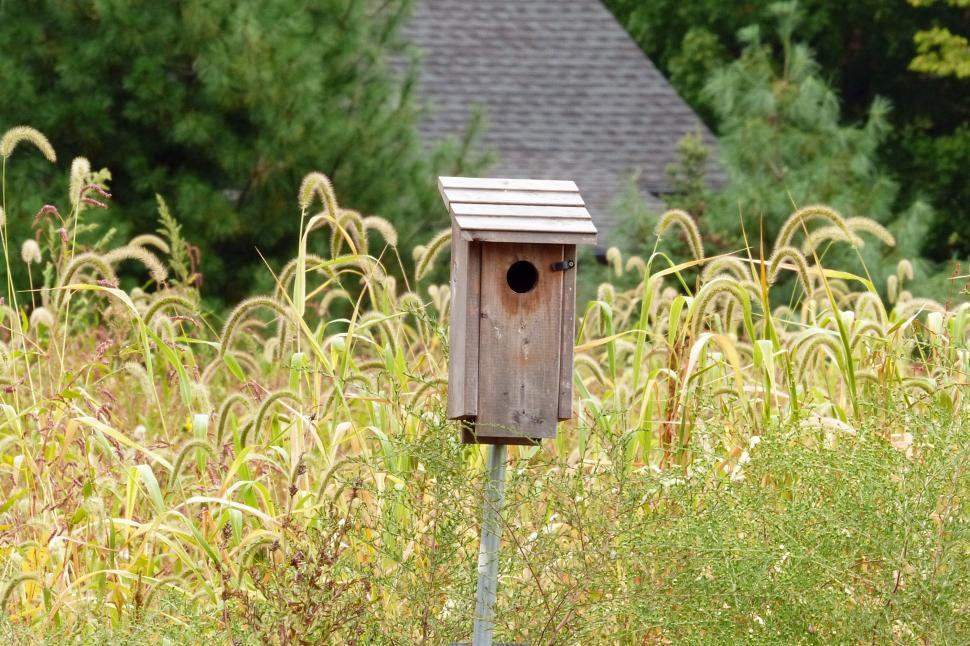 Free Image of Birdhouse in Field 
