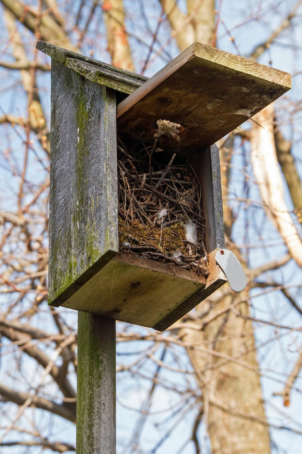 Free Image of Open Birdhouse Showing Nest Materials 