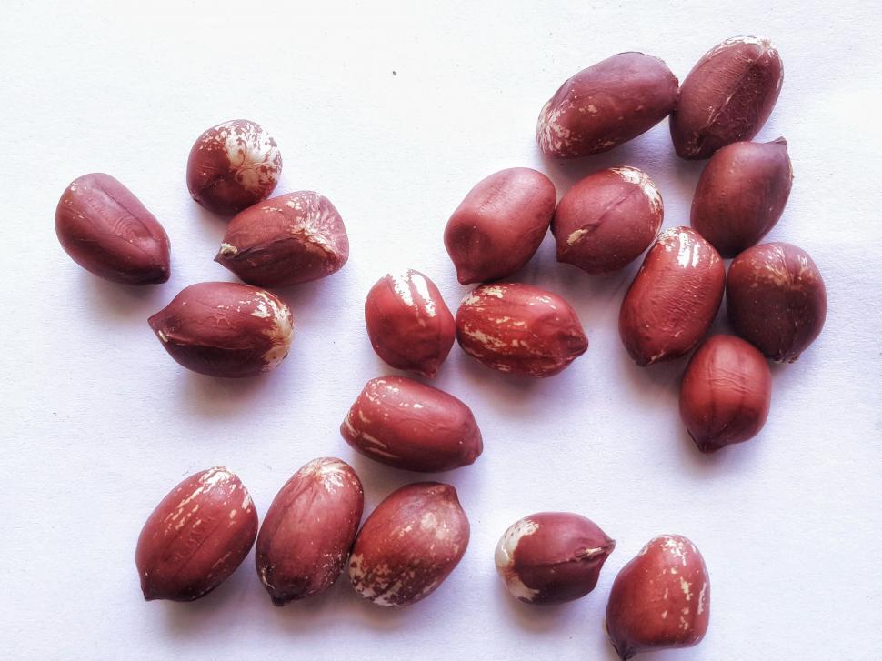 Free Image of Peanuts   