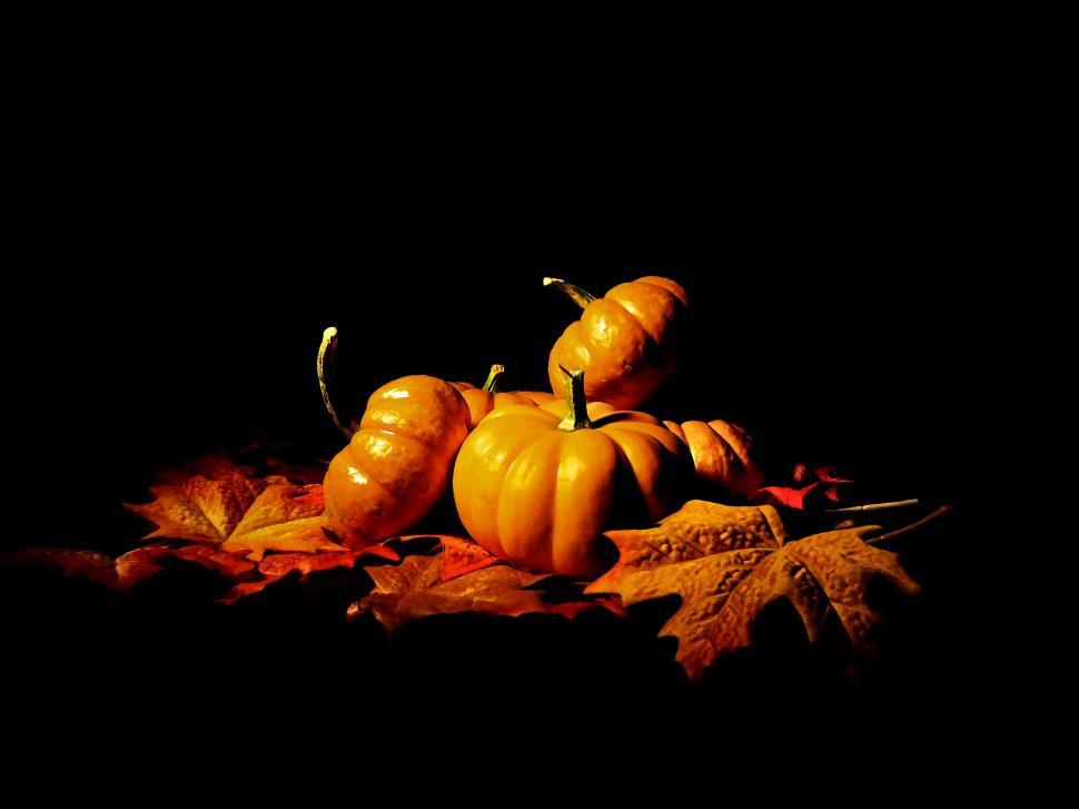 Free Image of Gourds on Black 