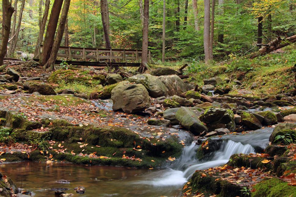 Free Image of Wooden Bridge and Casade 