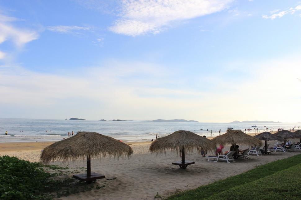 Free Image of Traditional thatched sun shade umbrellas on a tropical beach  