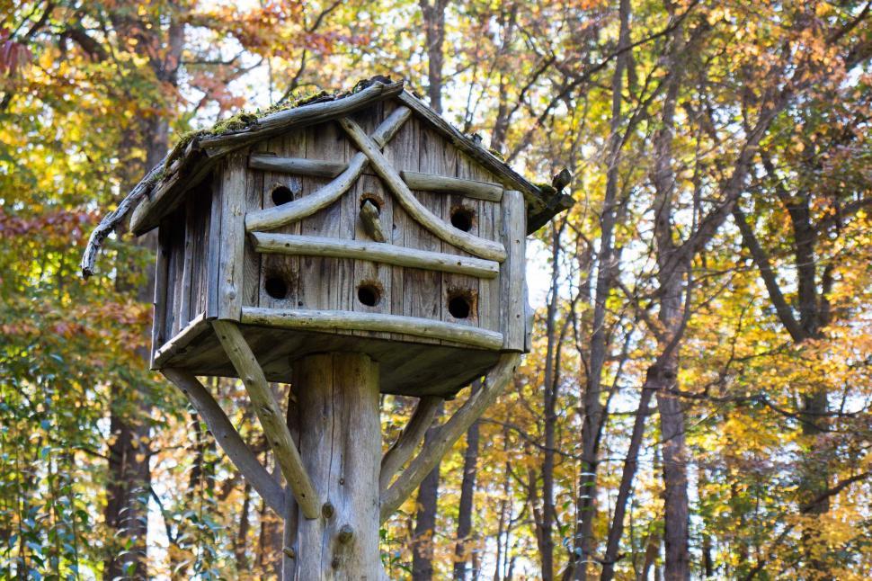 Free Image of Bird House Condo 
