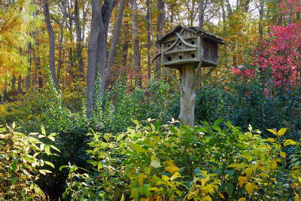 Free Image of Bird House Condo 