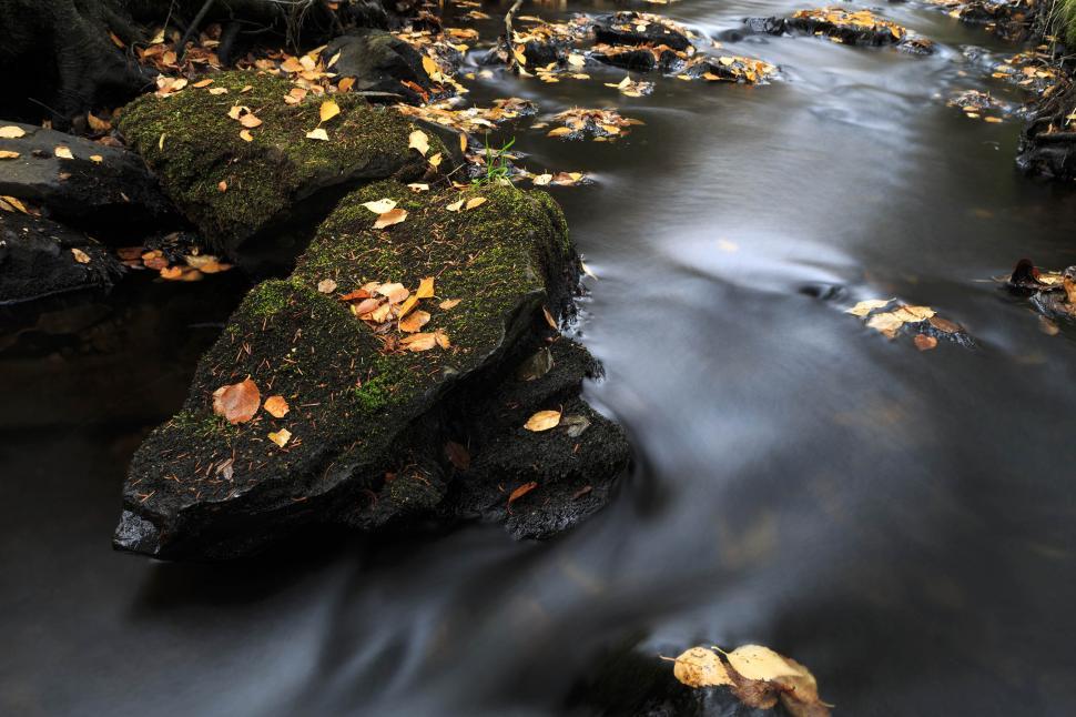 Free Image of Autumn stream 