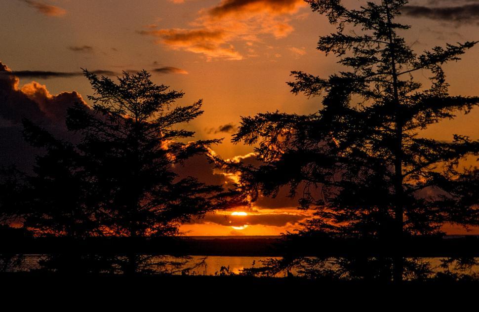 Free Image of Silhouette and Sunset 