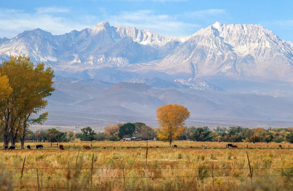 Free Image of Inyo National Forest in Bishop, California 