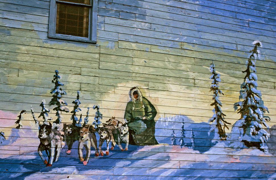 Free Image of Sled dogs and their rider 