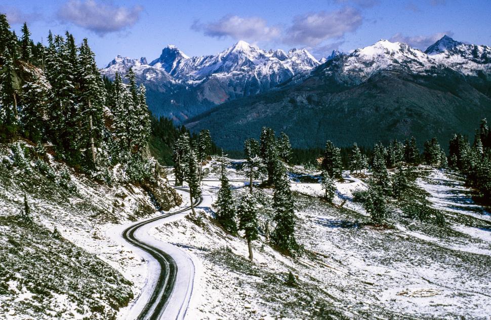 Free Image of Snow capped mountains and trees 
