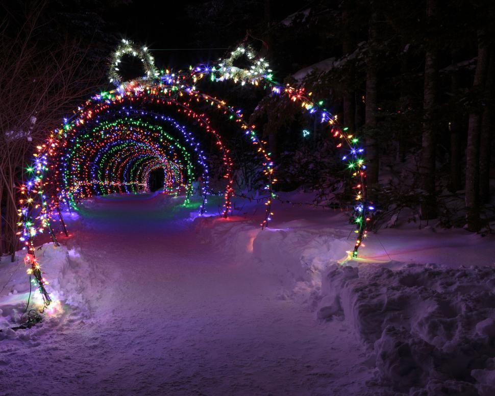 Free Image of Different color Christmas lights 