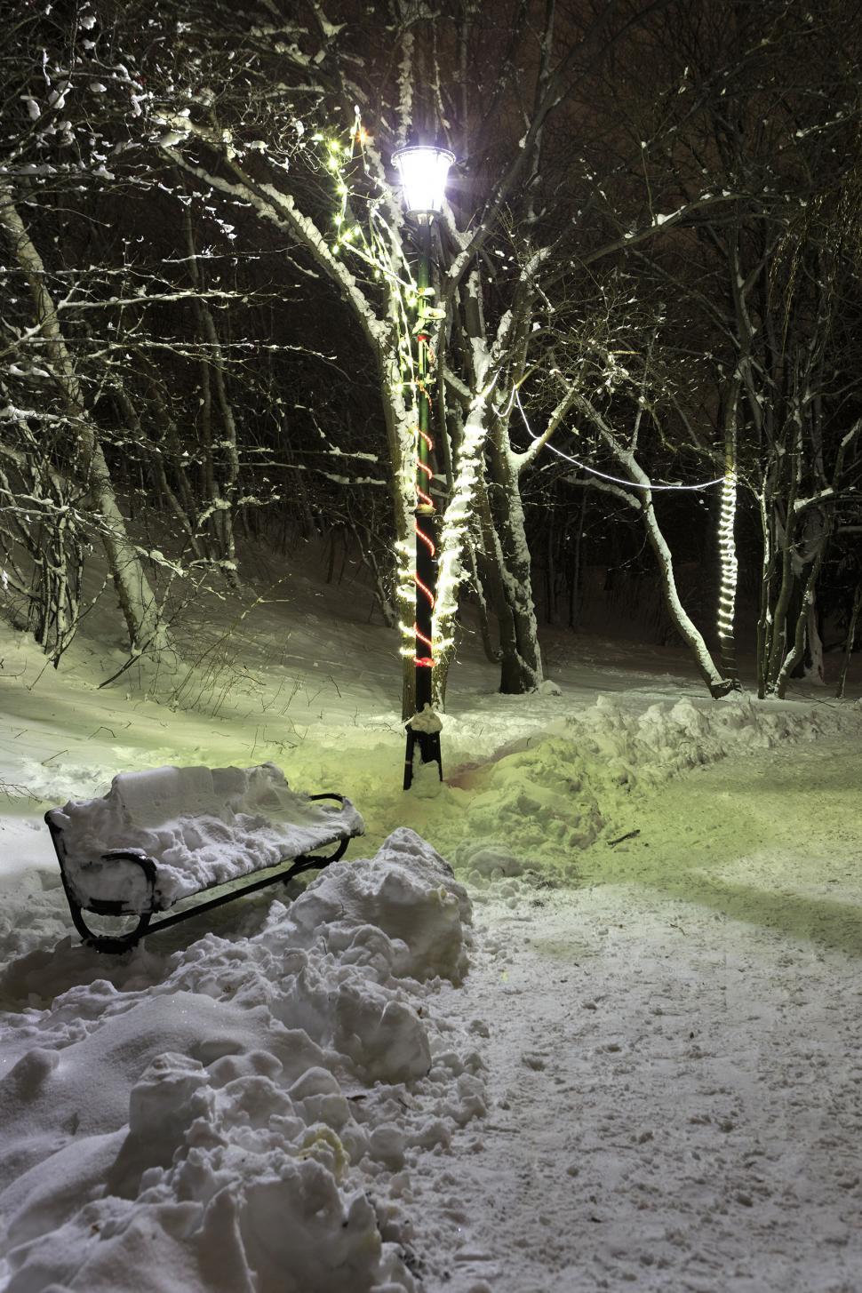 Free Image of Park bench and lights 