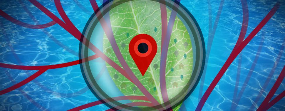 Free Image of Analysis of Details - Abstract Design Alternate 