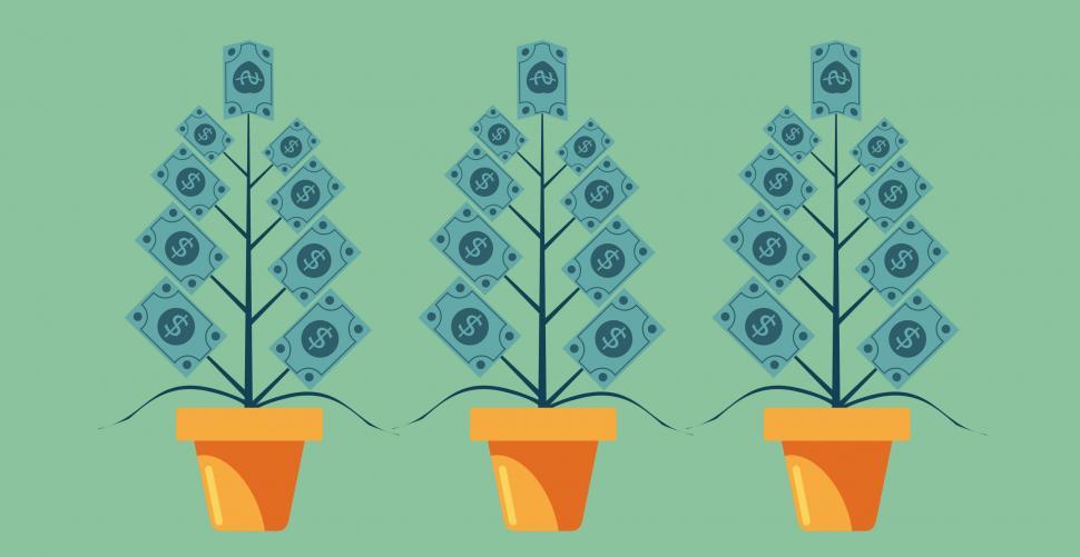 Free Image of Money Growing on Trees - Capital Appreciation Concept 