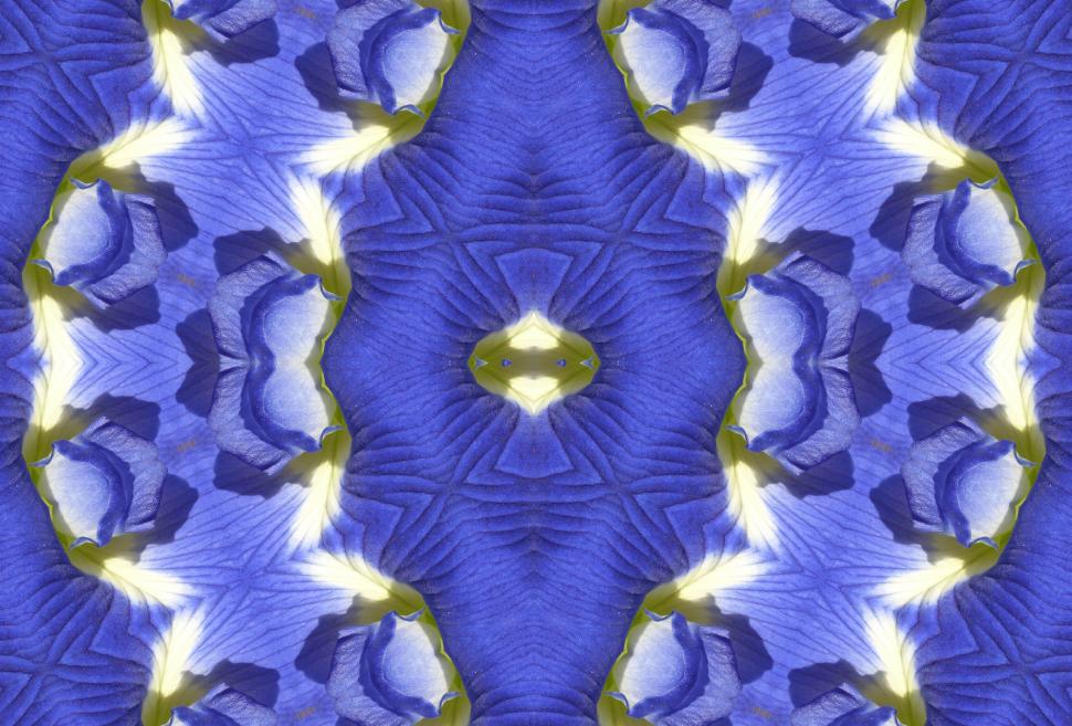 Free Image of Floral Frame 
