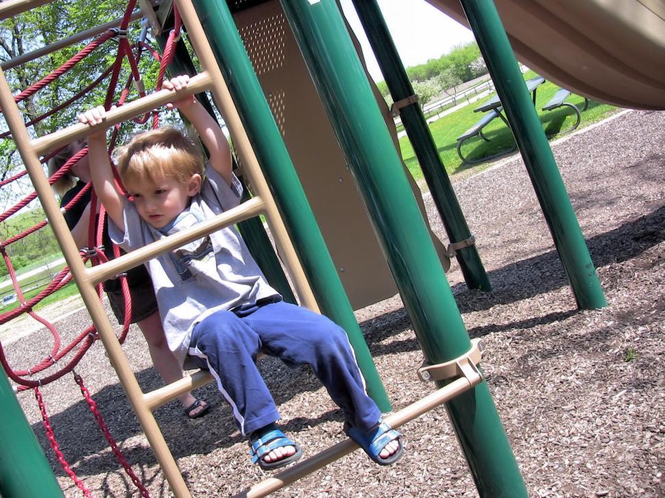 Free Image of A Day at the Park 