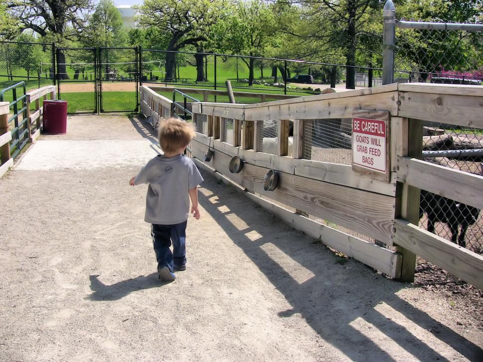 Free Image of Petting Zoo 