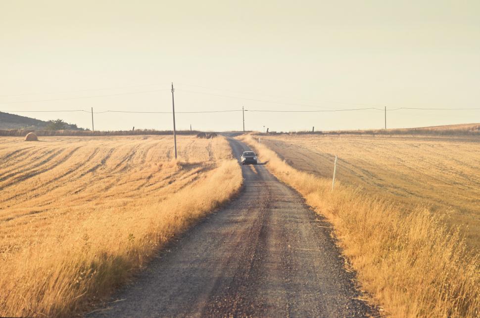Free Image of View Of Golden wheat field, road through with white clouds in Tu 