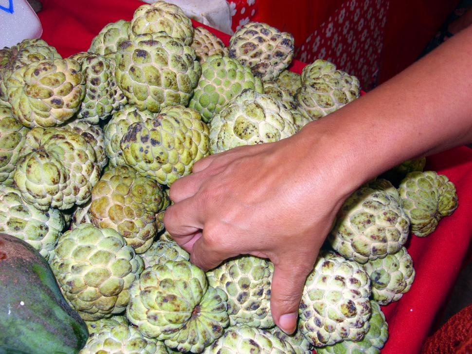 Free Image of Custard apples 