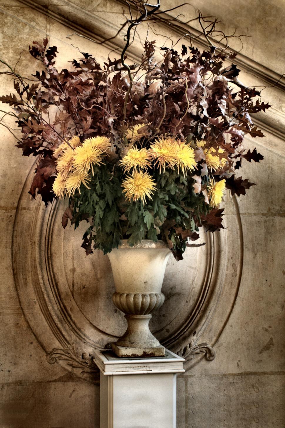 Free Image of White Ceramic Vase in Museum 