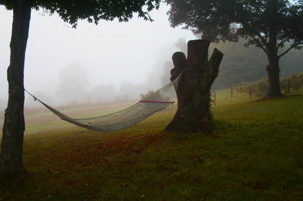 Free Image of Foggy Hammock  