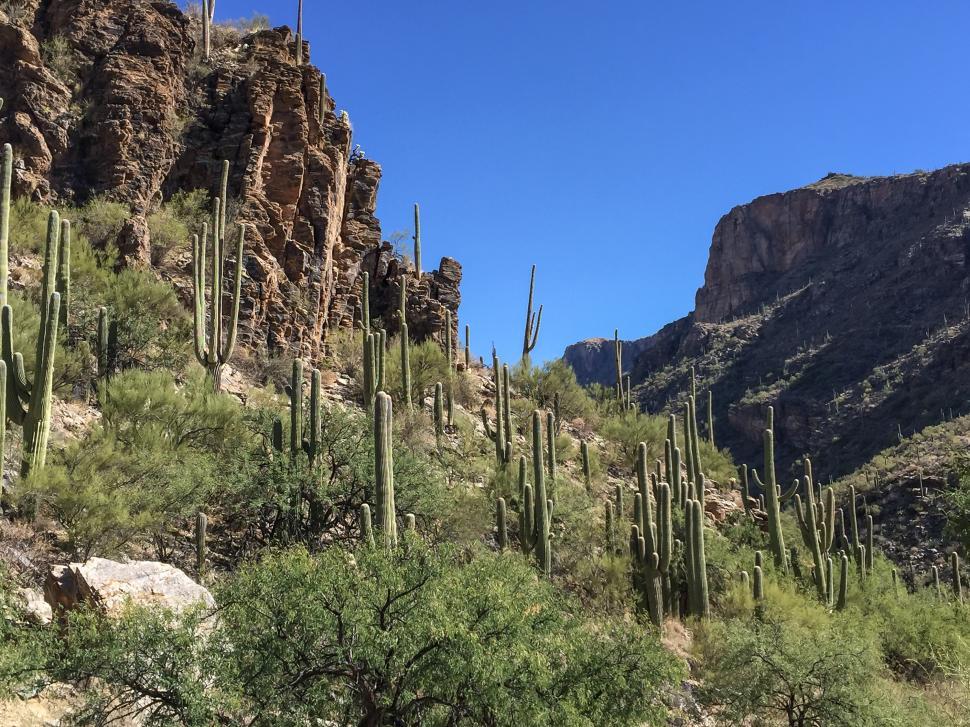 Free Image of Sabino Canyon, Tucson Arizona 