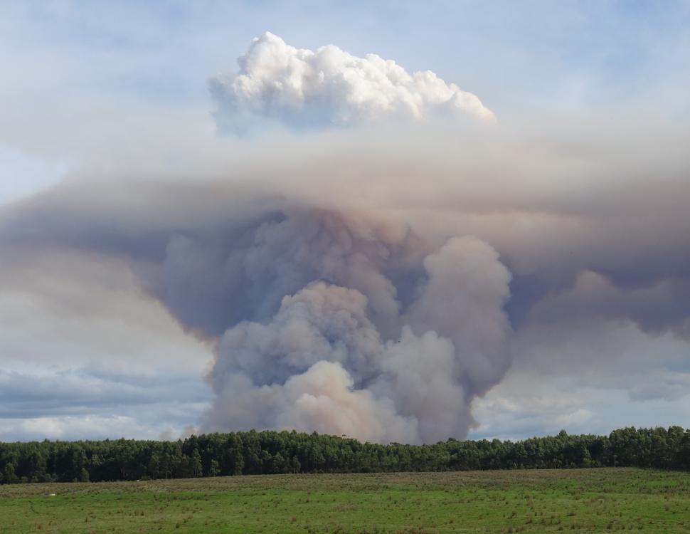 Free Image of Mushroom Cloud  