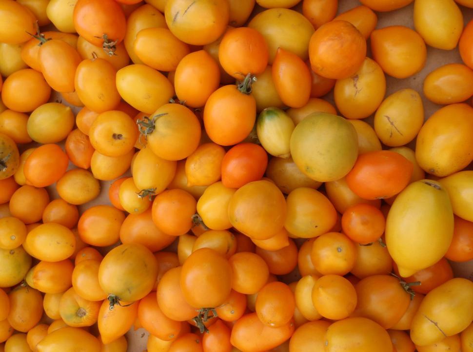 Free Image of Bunch of Yellow-Orange small Tomatoes 