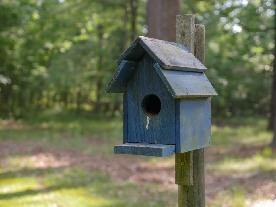 Free Image of Closeup of a birdhouse  