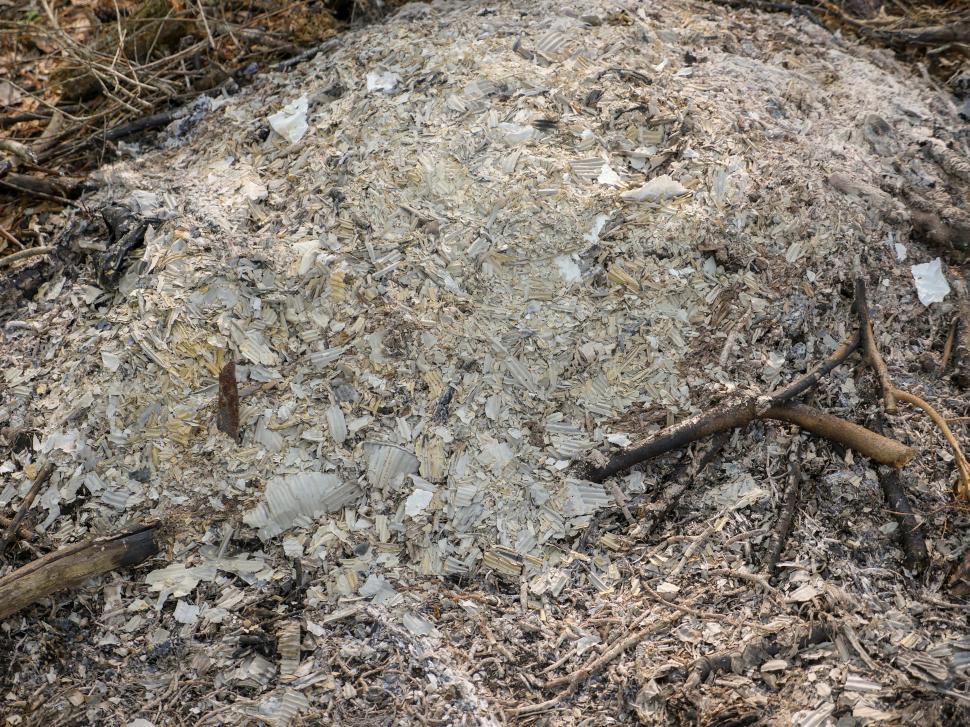 Free Image of Pile of Ash 